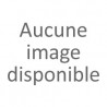 Thé vert biologique - 50g - Laos